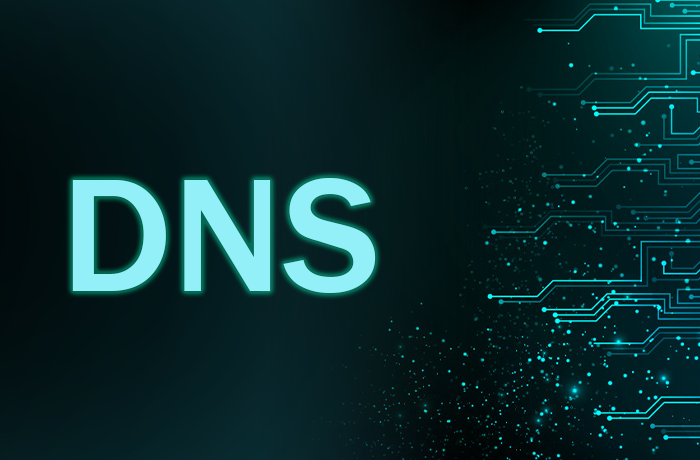 ¿Qué es la Propagación DNS?